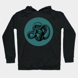 Halloween Snake, Portents, Omens, and Signs Hoodie